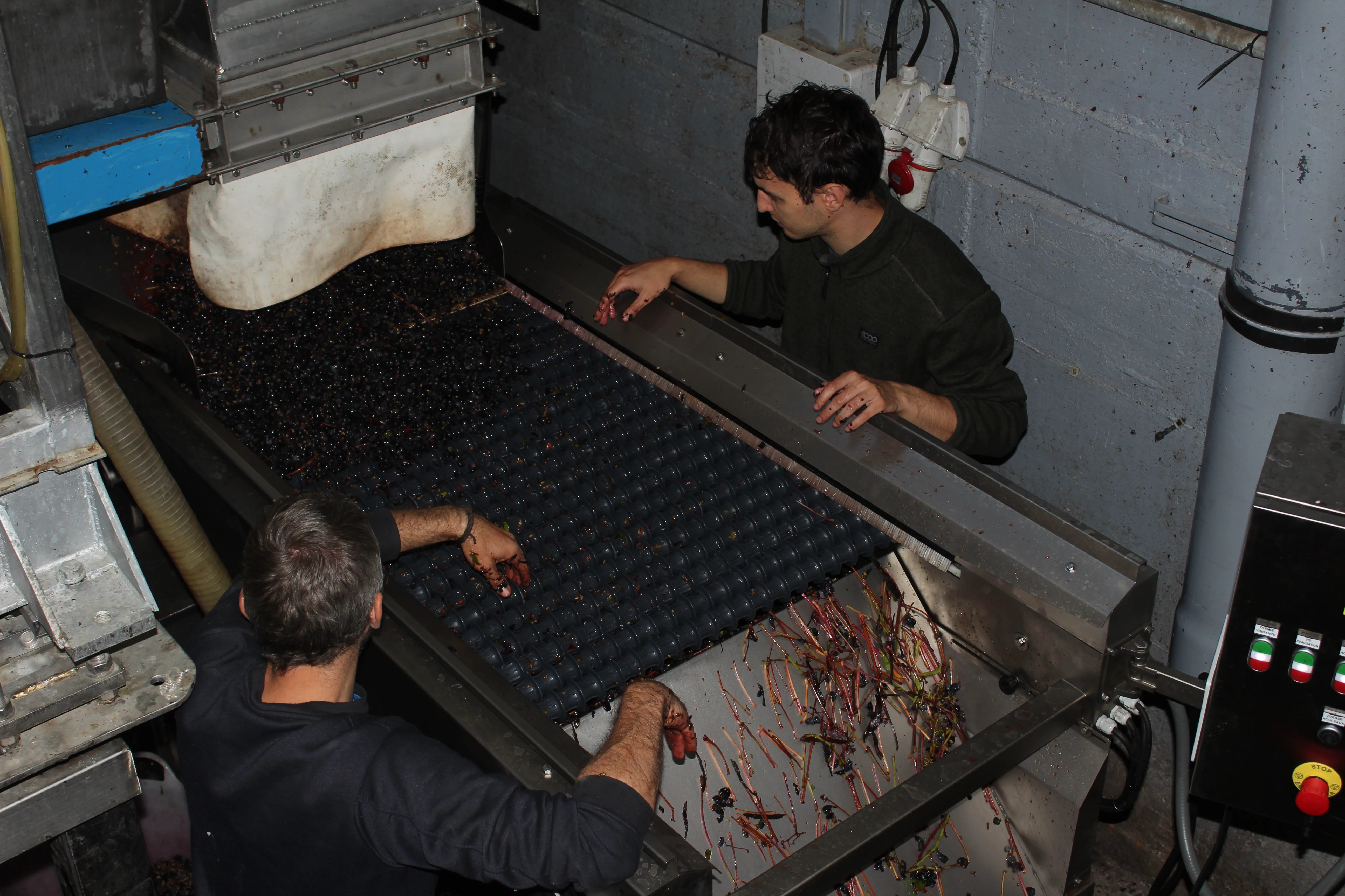 Fermentación controlada