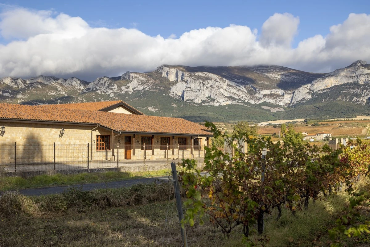 El alma de nuestros vinos está en la viña