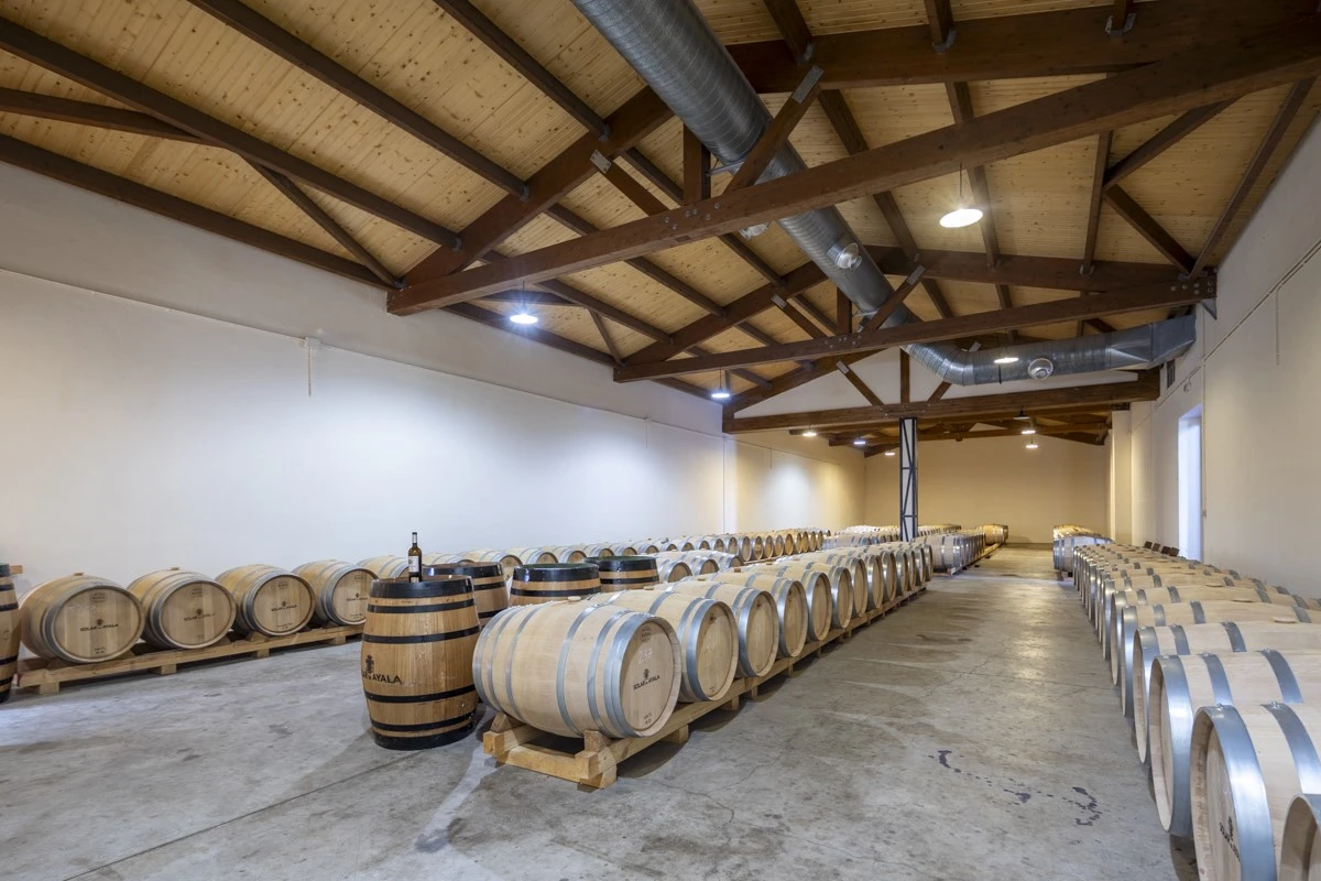 La barrica al servicio del vino