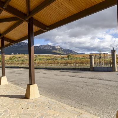 solar_de_ayala_porton_entrada_vinedo_otono