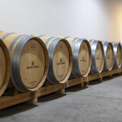 solar_de_ayala_fudres_roble_antiguos_bodega