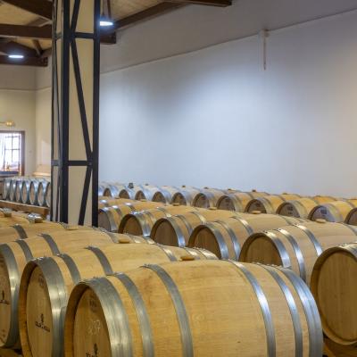 solar_de_ayala_fudres_roble_antiguos_bodega