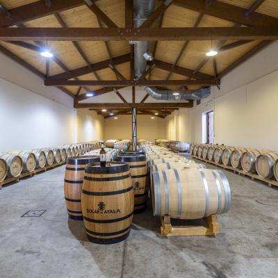 solar_de_ayala_fudres_roble_antiguos_bodega