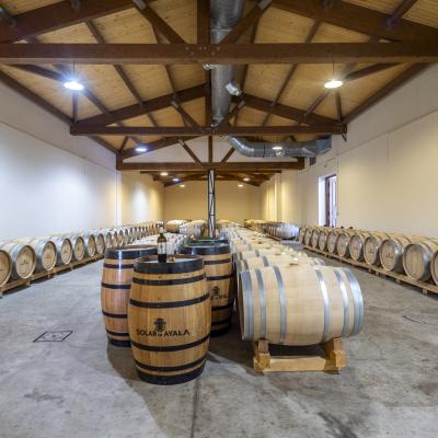 La bodega